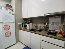 Hundred Trees (D5), Condominium #511536751